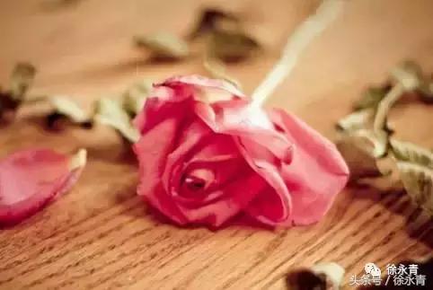 怀揣梦想做有志少年,怀揣梦想做自己