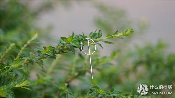 不一样的精彩绝伦,华为nova2plus测评