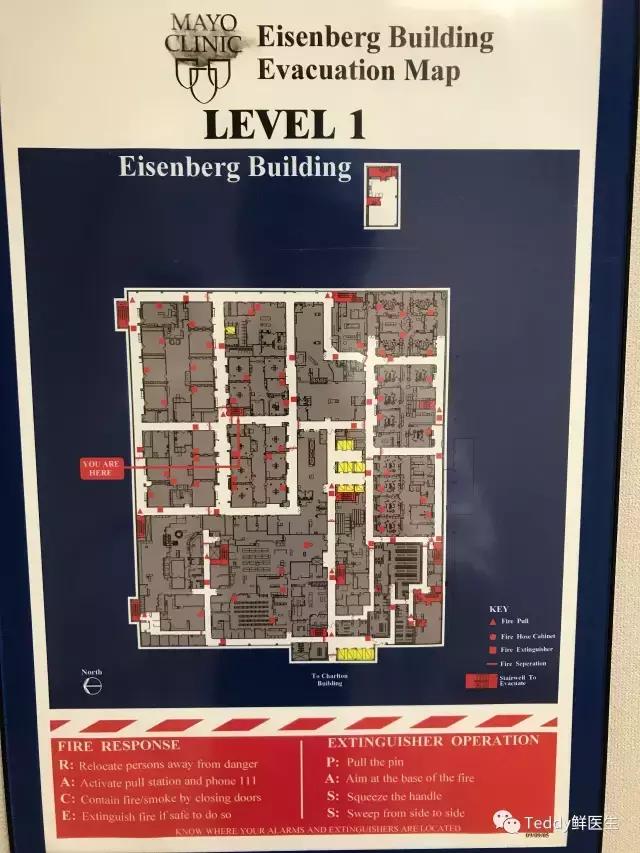 梅奥诊所顶尖医疗技术,梅奥诊所是世界上最好的医院吗