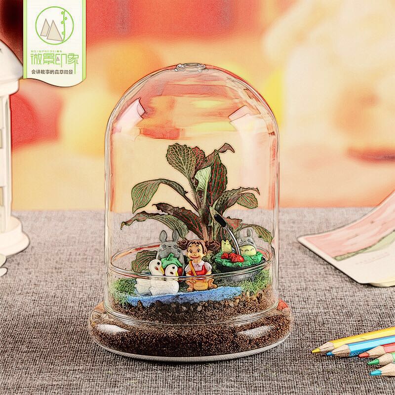 小说你若盛开清风自来,你若盛开清风自来作文