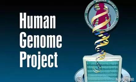 华大基因为什么这么牛,华大基因在基因检测领域中的地位