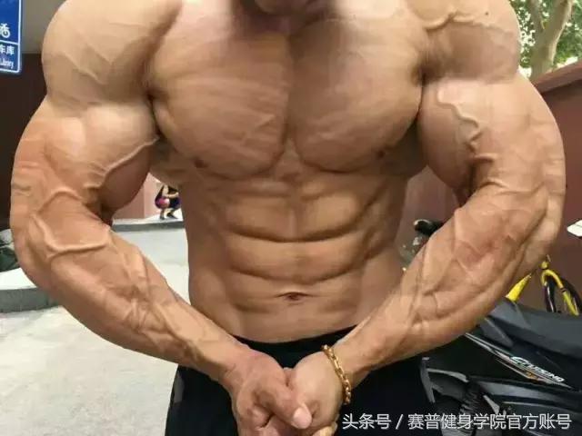 两个月备赛,2个月备赛刷脂流程