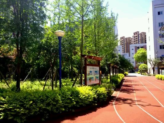 涓浗浜斿喍澶у浣嶇疆,涓浗浜斿喍澶у