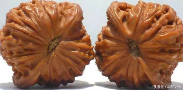 文玩核桃磨盘狮子头南疆石,文玩核桃磨盘狮子头品种大全