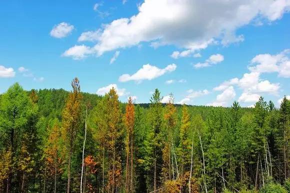 北京去莫斯科沿途风景视频,去莫斯科飞机沿途风景