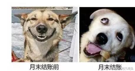 做会计是一种怎样的体验,做会计是做什么工作的