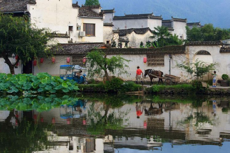 发现一个世外桃源的地方真美,有一处叫世外桃源的地方