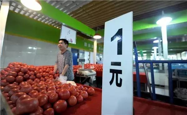 石家庄市区内最大的菜市场,石家庄网红菜市场