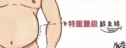 人鱼线等级划分标准,人鱼线是上下半身分界线吗