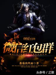 有关微信的好看小说,求关于微信类小说