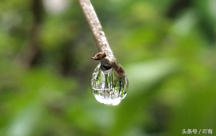 vivox9s和vivox9splus哪个好,vivox9s和plus有什么区别