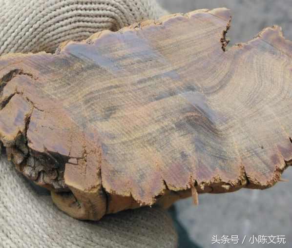 崖柏黑油料是怎么形成的,崖柏红油料好还是黑油好