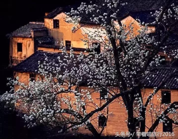 探访龙泉古村,龙泉古镇的美景