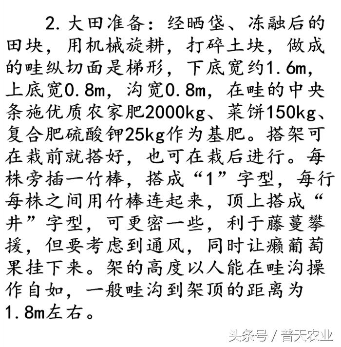 癞葡萄的种植方法和时间,癞葡萄怎么种植