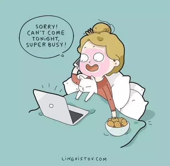 养猫的100个好处视频,养猫的人才懂的十个好处