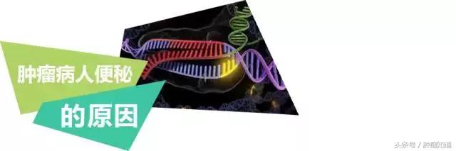 胰腺恶性肿瘤患者便秘如何处理,直肠肿瘤手术后便秘怎么解决