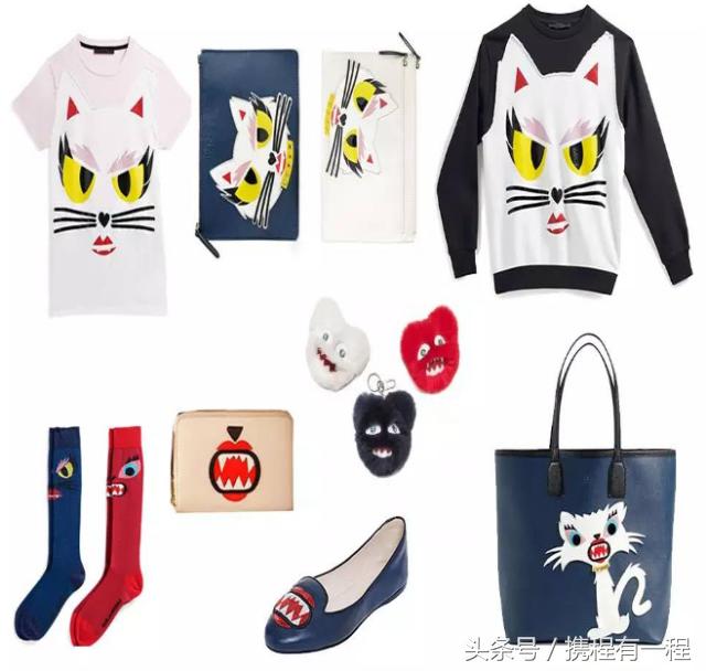 王思聪可以带狗上飞机吗 (王思聪飞机可以带狗吗)