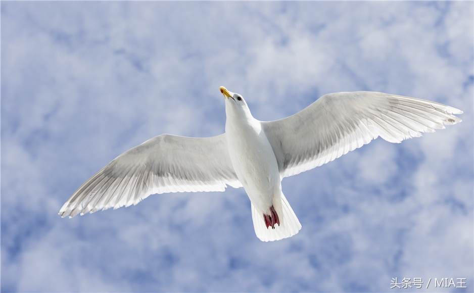 工程造价这个专业好不好找工作,工程造价专业考二建专业怎么选