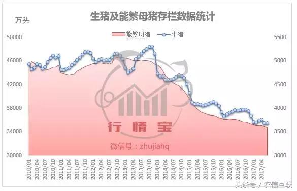 今年玉米价格涨还是跌,2023年玉米价格上涨的原因