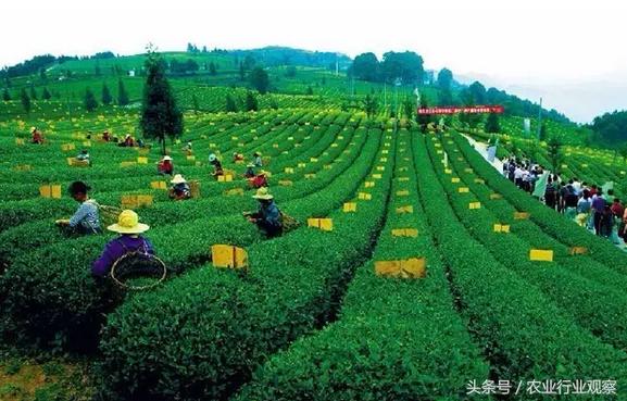 生态循环农业如何控制利润,现代农业六种盈利模式