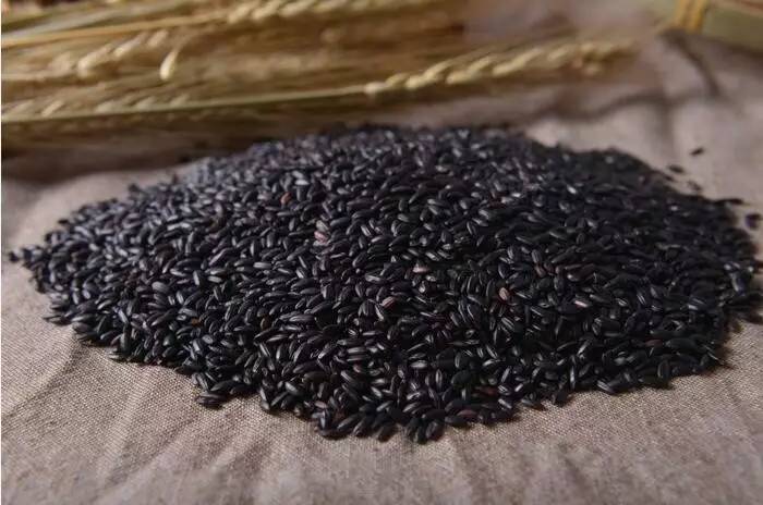 五谷杂粮养生配方大全适合青少年,提高免疫力五谷杂粮粉配方大全