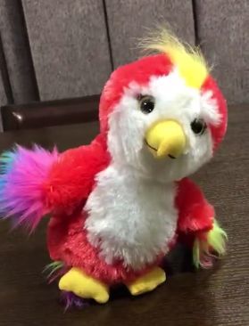 张含韵赵丽颖谢娜什么关系 (赵丽颖谢娜张含韵共同参加的综艺)