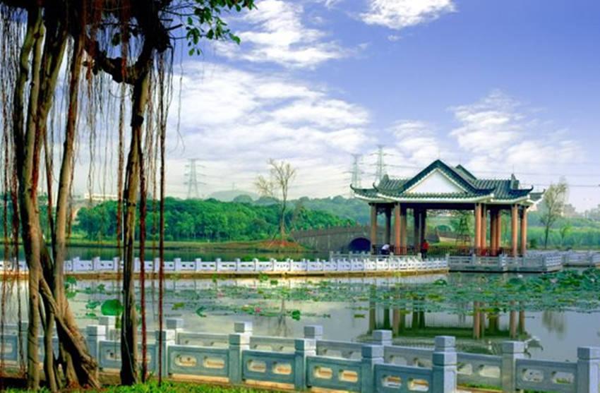 东莞最值得一去的公园，环境优美、美不胜收