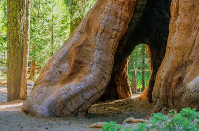 美国旅游10个必去的地方,美国加州有什么好玩的地方