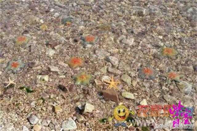 大钦岛渔家乐旅游攻略,紫塞北京农家乐