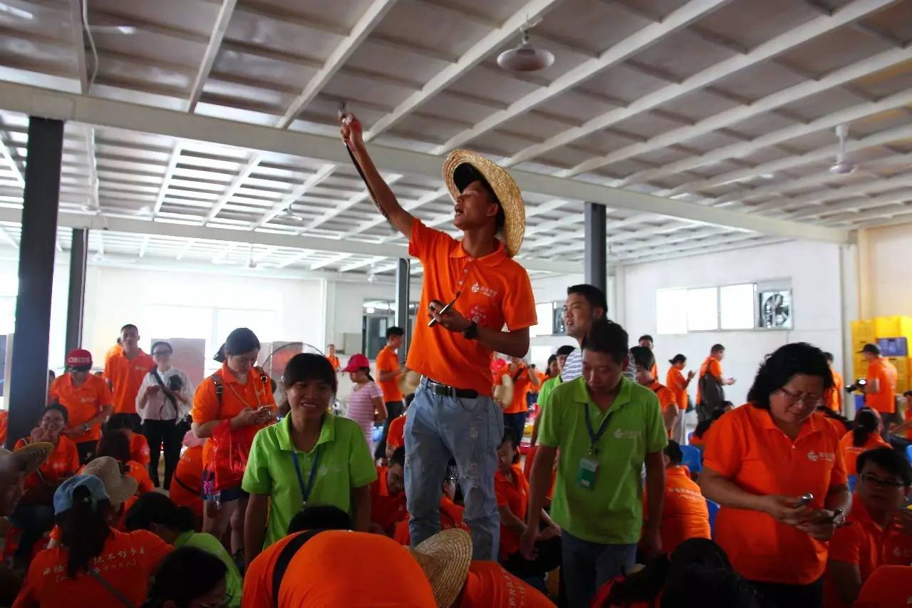 新会陈皮邀请赛,新会柑比赛