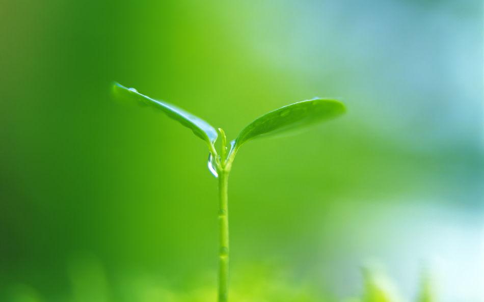 扁平疣在自己身上有一定的传染性,扁平疣和传染性疣一样吗