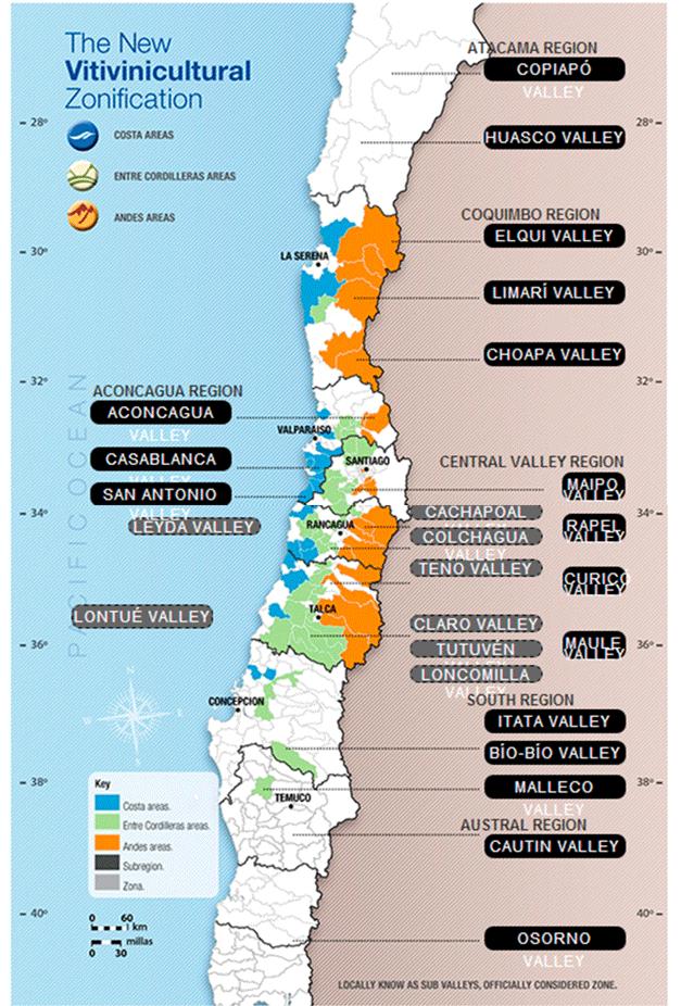 还以为智利只有低端酒？它是这样逆袭的！