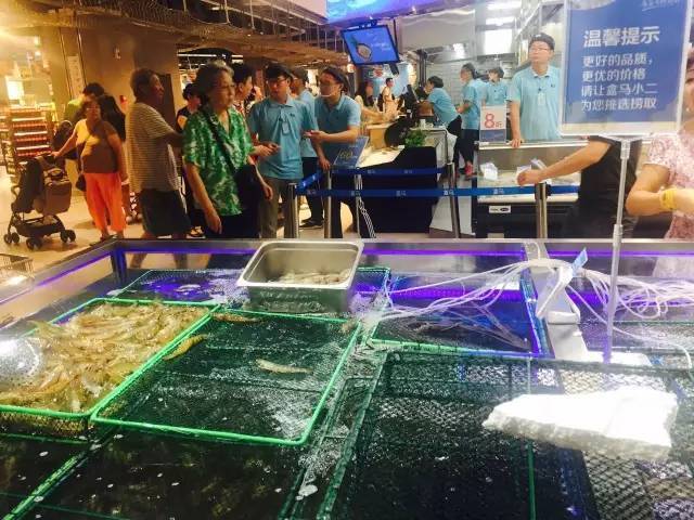 听说马云开了家作妖儿的水族馆，全城的大人都带着小孩冲过去了