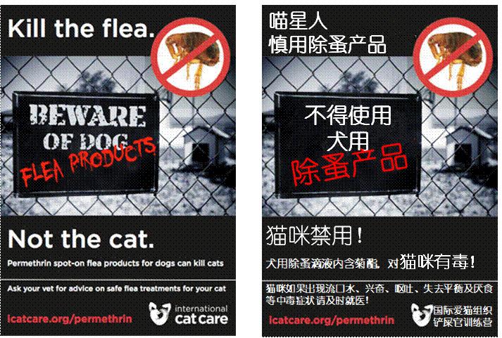 猫闻了蚊香液会怎么样,猫闻到蚊香的味道会中毒吗