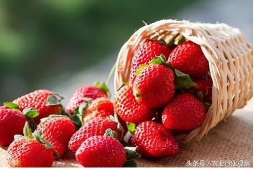 日本农业以什么经营为主,日本劳动力减少的方法