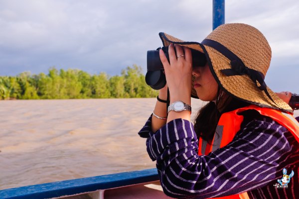 探寻野生动物,野生长鼻猴
