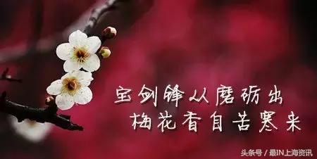 上海话念不了诗,上海话念古诗词