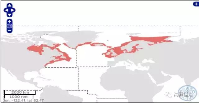 鳕鱼科普小知识,鳕鱼cod科普