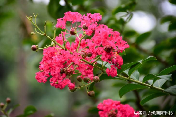 尼康d7500属于什么级别的单反,尼康d7500各种环境下的拍摄参数