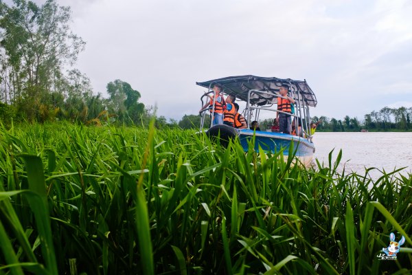 探寻野生动物,野生长鼻猴