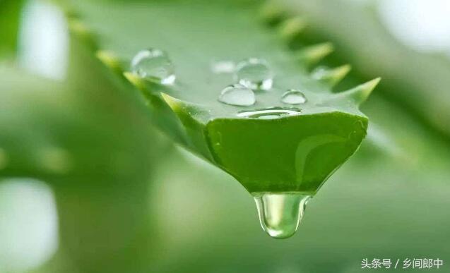 被蚊虫叮咬后止痒消肿的妙招,被蚊虫叮咬后有效的止痒方法