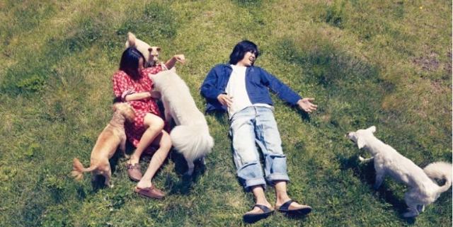 李孝利的民宿在哪可以看,李孝利的民宿在线观看