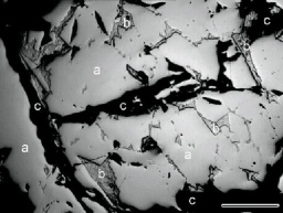想要一生健康，珍藏这份价值100万+的日本健康计划！