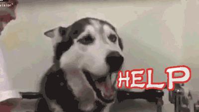 浜戝吇鐚殑鐥涚偣,浜戝吇鐚繃绋嬮亣鍒扮殑闅鹃