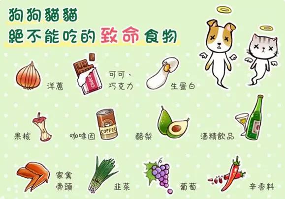 怎么防止猫咪应激伤人,猫咪中毒的解毒法