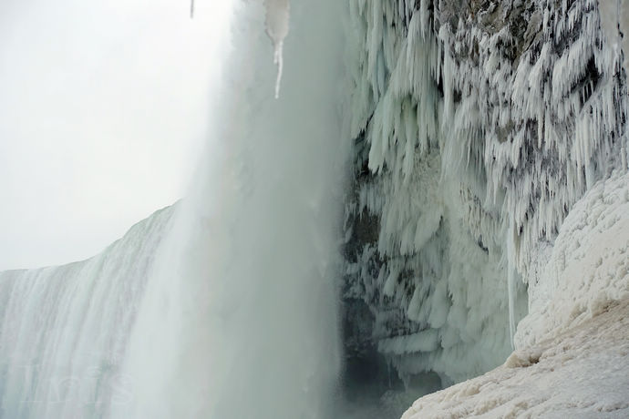 尼亚加拉珍稀冰酒,尼亚加拉冰酒