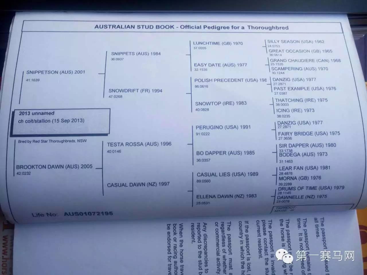 快跑100米用多少秒,快跑1000米