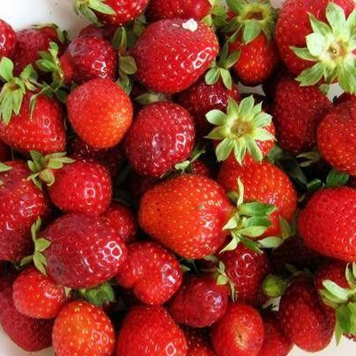 抗感冒的食物有哪些,专治感冒的十大食物