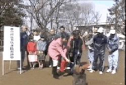 最强胎动背后都是怎样的熊孩子？妈妈看完哭笑不得，这娃还生不生