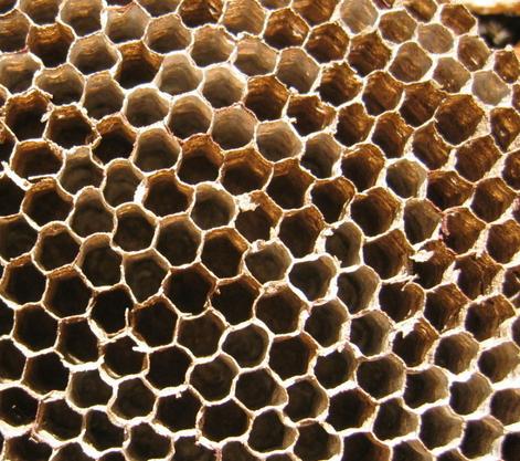 毛孔粗大收缩毛孔最有效的土方法,毛孔粗大怎么办教你快速收缩毛孔